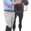 Ovation® Men's EuroWeave™ Knee Patch Breeches